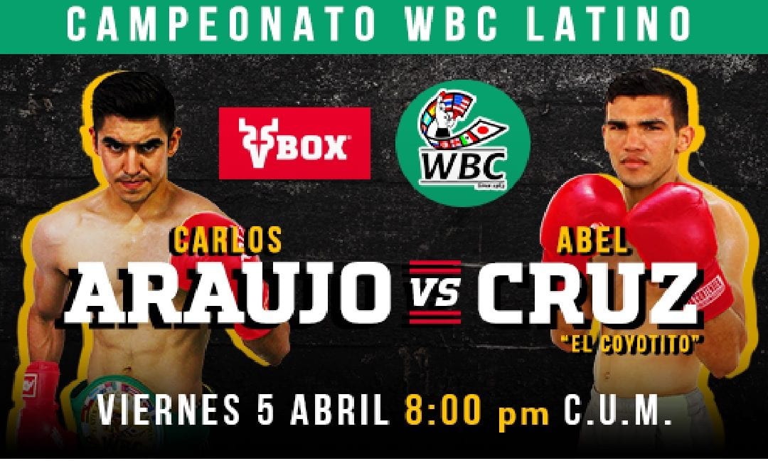 Título Súper Pluma del Campeonato WBC Latino se disputará en Mazatlán