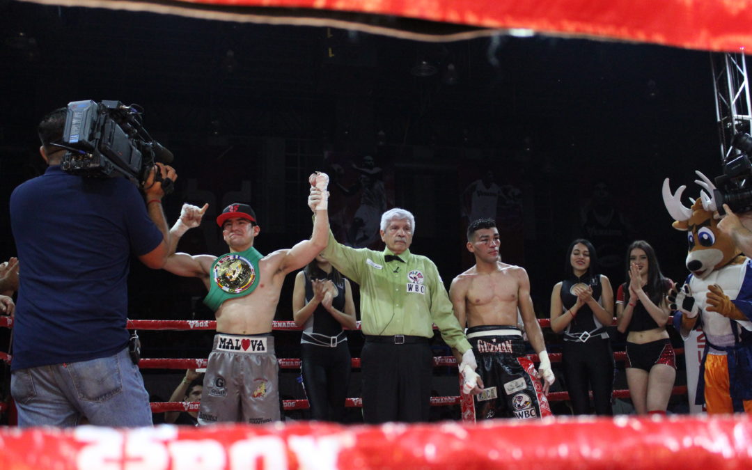 Carlos “El Príncipe” Araujo es Campeón Superpluma del WBC Latino