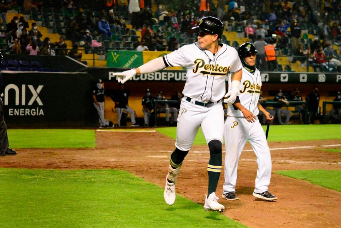 pericos-5